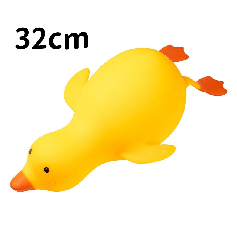Squishy Canard