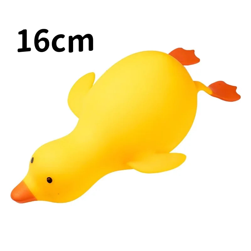Squishy Canard