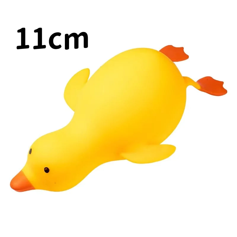 Squishy Canard